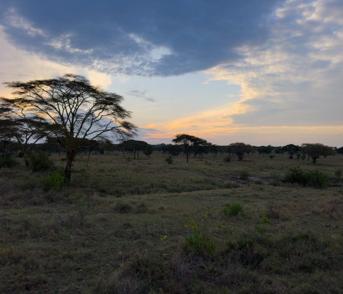 Family Mwaloni Tukaone6